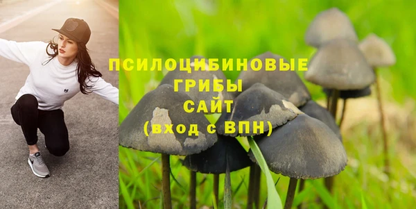 прущая мука Алексин