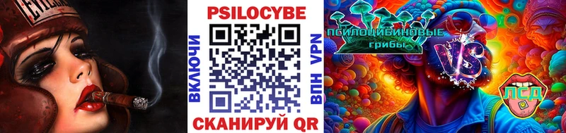 Псилоцибиновые грибы мухоморы  ОМГ ОМГ онион  Саров  где продают наркотики 